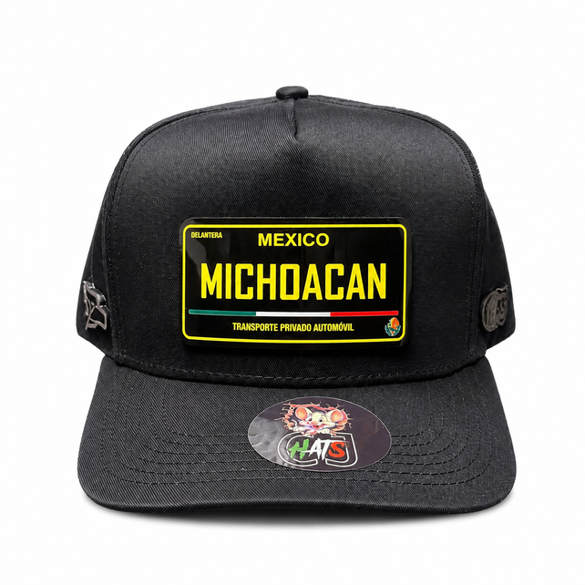 MICHOACÁN PLACA